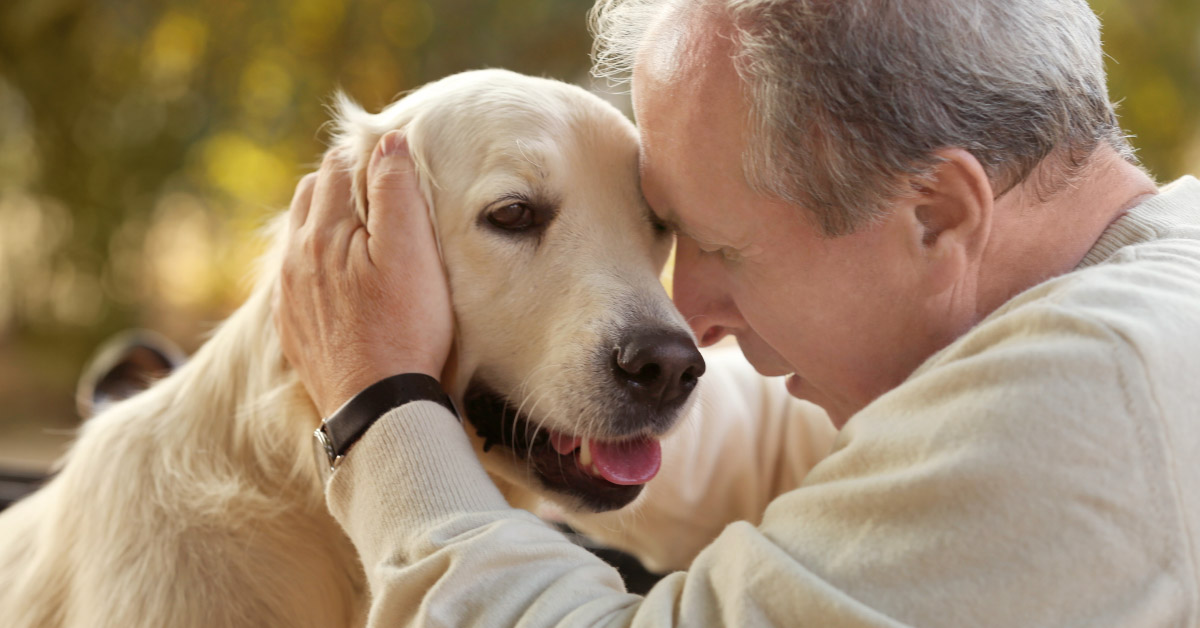 Health Benefits of Owning a dog. Senior man petting his dog.